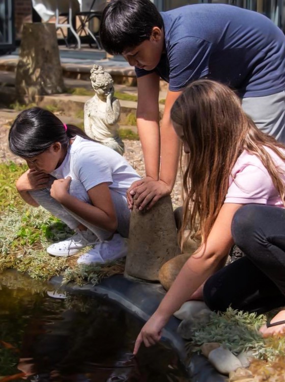 Few children next to the pond with lotus flowers in the courtyard.