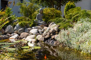 Buddha statue next to a small pond in the courtyard at Buddhist Centre Gomde UK.