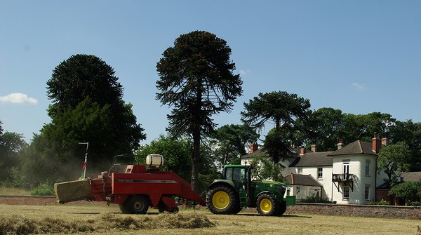 Tractor doing hay baling as a volunteer job in the gardens of Buddhist centre Gomde UK.
