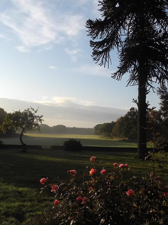 Misty early morning view of the fields surrounding Gomde UK, Yorkshire, England.