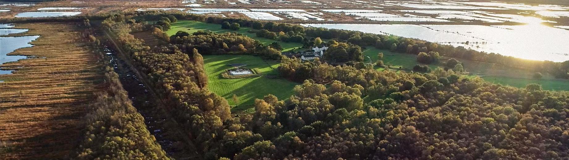 Aerial overview of the surroundings of Lindholme Island, Doncaster in the midst of peatland at the Hatfield Moors.