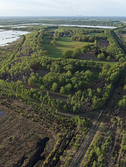 Lindholme Island