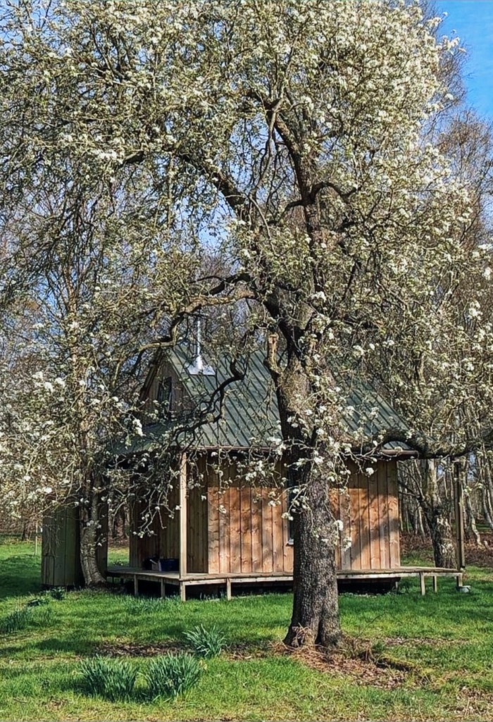 Solitary meditation retreat hut with spring blossom trees in Yorkshire, England, UK.