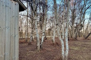 Solitary Individual Meditation Retreat Hut in the woodlands of Buddhist Centre Gomde UK.